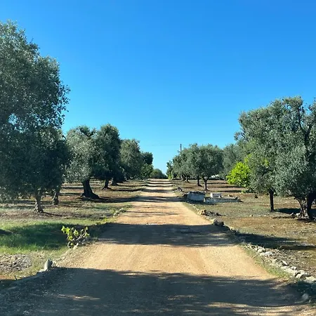 Ristrutturato 2024 - Trullo Falghero Con Piscina Privata * Ostuni