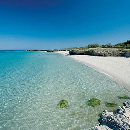 Villa Ristrutturato 2024 - Trullo Falghero Con Piscina Privata